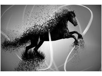 60X40CM CZARNO BIAŁY KOŃ GMENTARYZACJA JAKUB BANAŚ OBRAZ