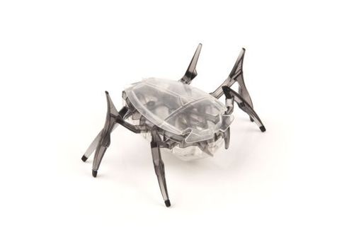HEXBUG Skarabeusz na Arena.pl