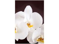 40X60CM PIĘKNY STORCZYK OBRAZ