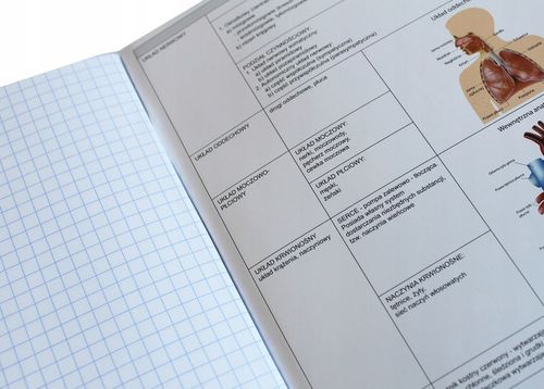 Komplet zestaw 10 zeszytów ściąga kolor Interdruk A5/60k zeszyt klasa 4-8 na Arena.pl