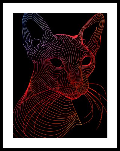 Plakat 30x40cm Cyfrowa Kocica na Arena.pl