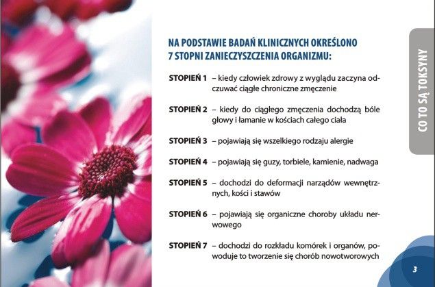 Body Detox urządzenie do oczyszczania organizmy zdjęcie 4