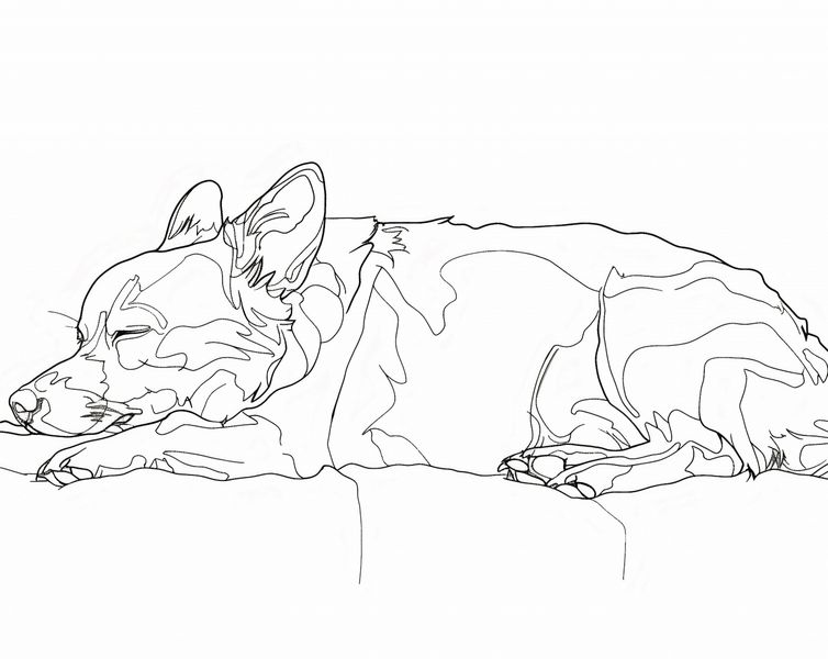 Plakat 76x60,5cm Śpiący Psiak zdjęcie 1