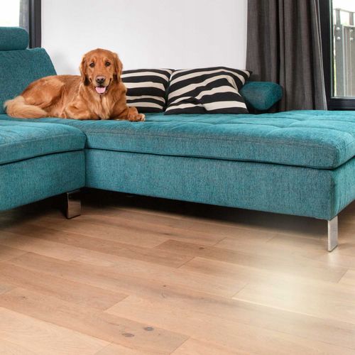 Vileda Pet Pro Wkład do szczotki do sierści i włosów Always Clean na Arena.pl