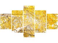 75CM 120 OBRAZ 5 ELEM BRZOZA ŚCIENNY DRUK