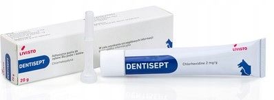 DENTISEPT PASTA DO ZĘBÓW DLA PSA i KOTA 20g na Arena.pl
