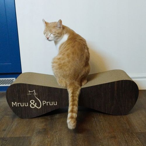 Drapak dla kota MIMI | brązowy | 70x23x24 cm | MruuPruu na Arena.pl