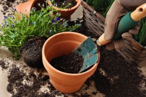 PODŁOŻE ZIEMIA DO KWIATÓW WARZYW ZIÓŁ IGLAKÓW LAUROWIŚNI 50L Z NAWOZEM zdjęcie 3