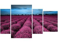 OBRAZ LAWENDOWY NCUSKI KRAJOBRAZ