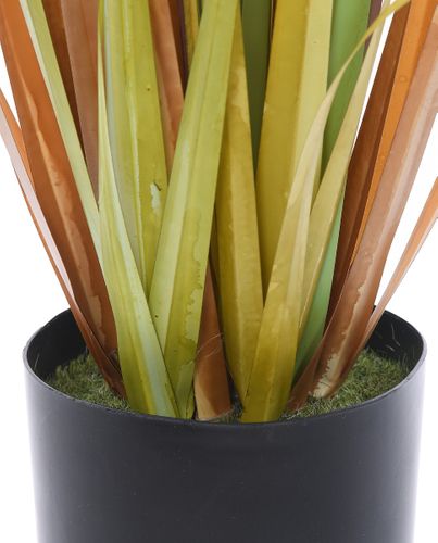 Trawa pionowa Dandelion 70cm na Arena.pl