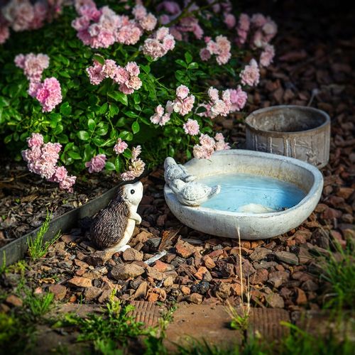 FIGURA OGRODOWA FIGURKA DEKORACJA OZDOBA DO OGRODU JEŻ JEŻYK NA na Arena.pl