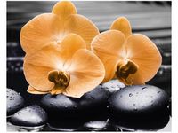 40X50CM POMARAŃCZOWE STORCZYKI OBRAZ