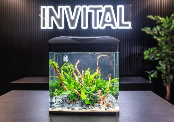 INVITAL EasyTank PRO LED 30L czarny zdjęcie 5