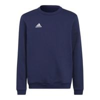 Bluza adidas Entrada 22 Hoody Jr H57568 140