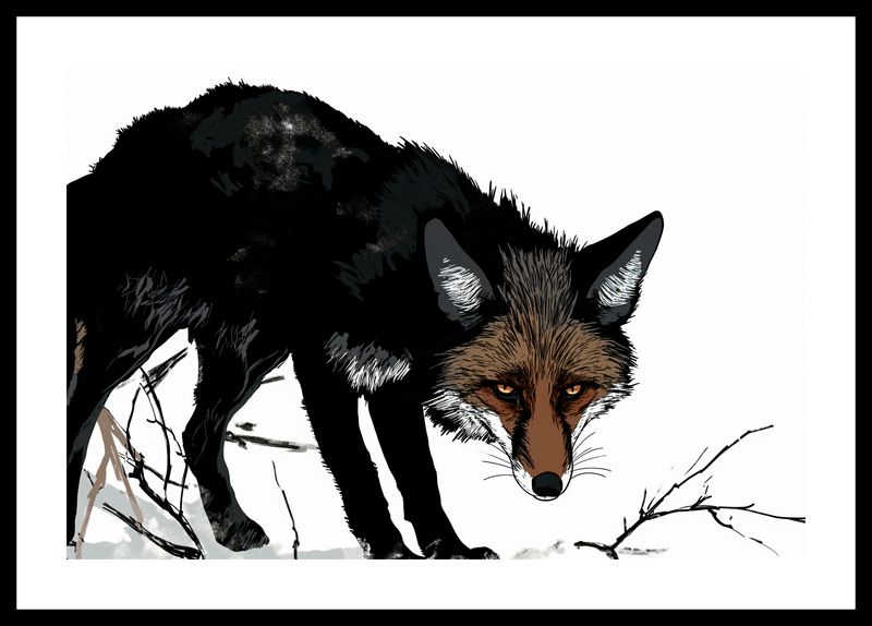 Plakat 45x30cm Nieufny Lis zdjęcie 3