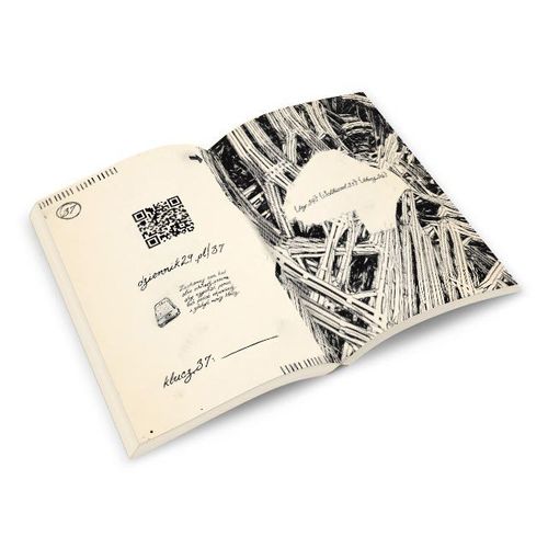 Gra Dziennik 29 na Arena.pl