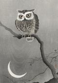 Plakat 70x100cm Long-Eared Owl, Koson Japoński Vintage do Salonu