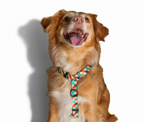 zee dog szelki h phantom l na Arena.pl