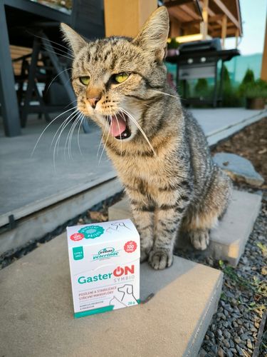 VITAR Veterinae GasterON SYMBIO - probiotyki i prebiotyki - aż 100 dawek na Arena.pl