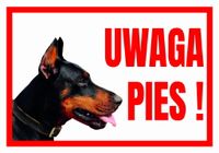 UWAGA PIES  DOBERMAN - Tabliczka ostrzegawcza