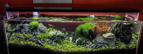 ŻWIREK CZARNY 1-3 mm PODŁOŻE DO AKWARIUM 25kg na Arena.pl