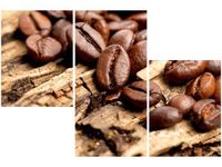 OBRAZ ZIARNISTA KAWA BARISTY