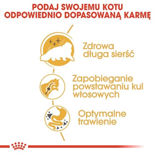 Karma sucha dla kotów perskich powyżej 12 miesiąca życia - Royal Canin 2kg na Arena.pl