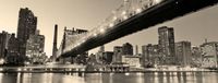FOTOTAPETY 3D miasta Nowy York nocą most 350x250