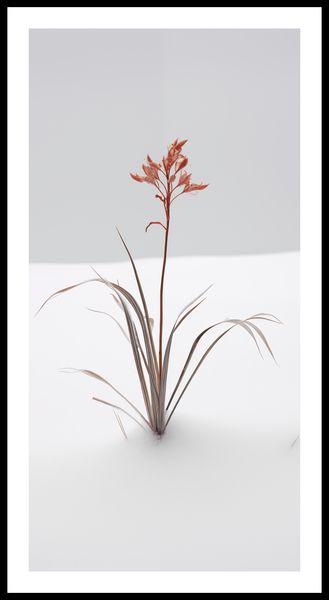 Plakat 50x100cm Subtelność Natury zdjęcie 3