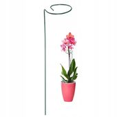 Podpórki do roślin metal Podpora do kwiatów 40 cm Zestaw 5 szt.