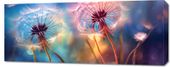 Obraz 100x40cm Delikatna Magia