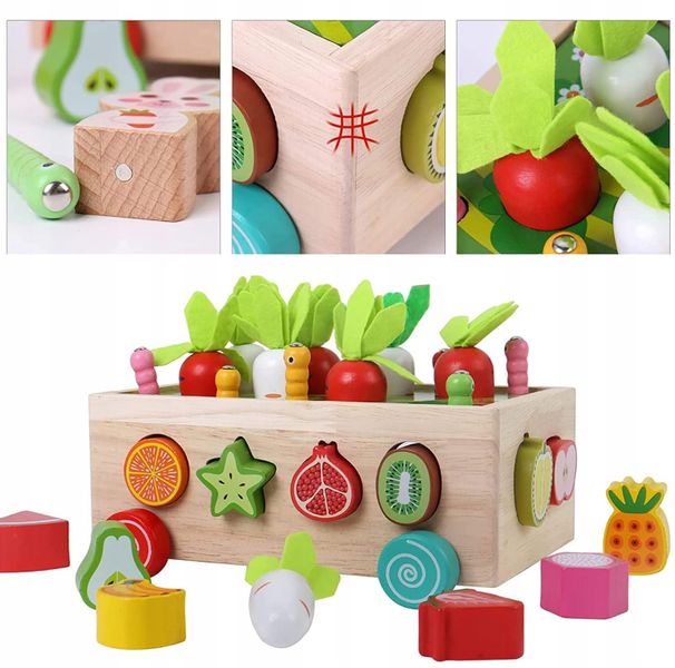 Układanka Montessori Sorter Klocków Złap Robaczka Drewniany Wózek Marchewki zdjęcie 14