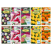 Nasiona kwiatów kolorowych Aksamitka Godecja, 11g