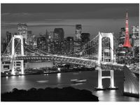 50X70CM TOKYO MOST TĘCZOWY OBRAZ POKOJU DREWNINE