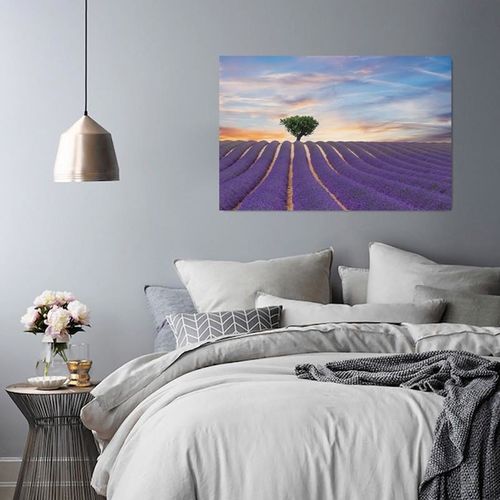 Obraz na płótnie - Canvas, Lawendowe pole 80x60 na Arena.pl