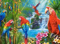 Komplet PUZZLI Dziecięce PUZZLE Układanki Puzzle 2000 el. - Parrot Meeting