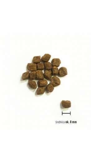 ORIJEN SMALL BREED PUPPY 1.8KG na Arena.pl