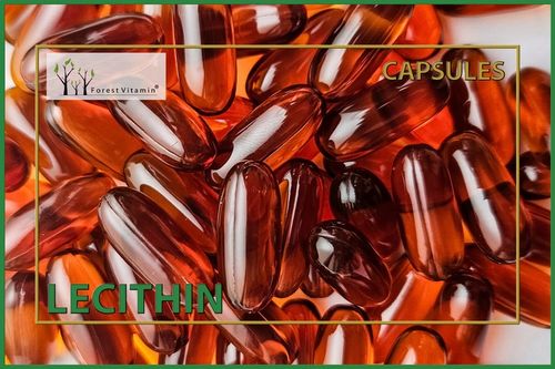 LECYTYNA SOJOWA 1200mg PAMIĘĆ KONCENTRACJA 100 kaps FOSFOLIPIDY CHOLINA na Arena.pl