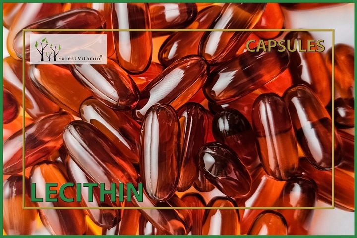 LECYTYNA SOJOWA 1200mg PAMIĘĆ KONCENTRACJA 100 kaps FOSFOLIPIDY CHOLINA zdjęcie 7