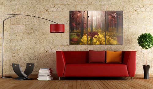 Obraz - Forest miracle Rozmiar - 60x40 na Arena.pl