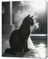 Obraz 70x90cm Kocia Przerwa