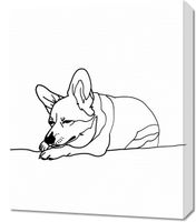 Obraz 50x60cm Śpiący Corgacz