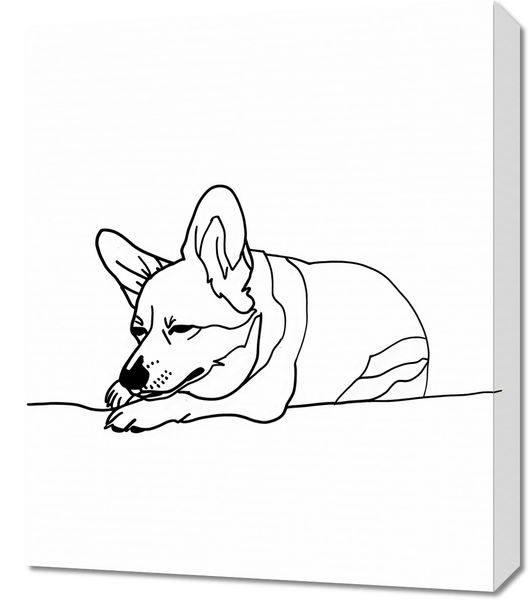 Obraz 50x60cm Śpiący Corgacz zdjęcie 1