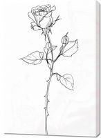 product-compare-59511341