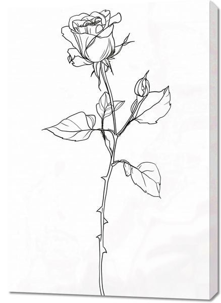 Obraz 70x100cm Kontur Róży zdjęcie 1