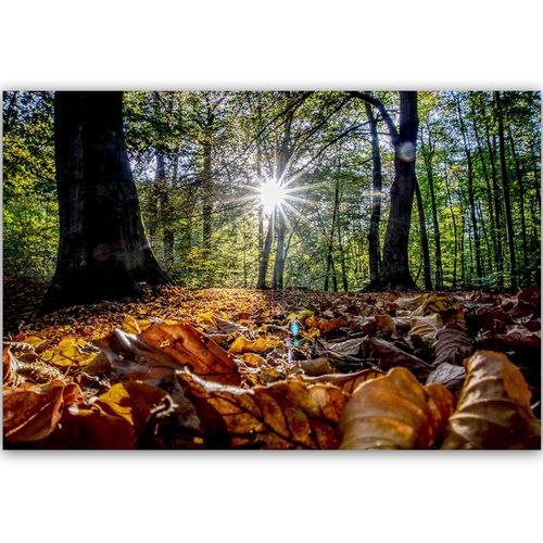 Deco Panel, Jesienne liście w słońcu 90x60 na Arena.pl