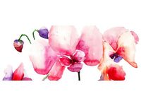 100X40CM STORCZYKI OBRAZ DREWNO