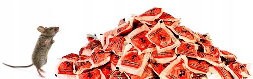 STRONG TRUTKA PASTA na GRYZONIE 3 kg bromadiolon na Arena.pl