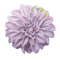 Dalia wyrobowa lt violet