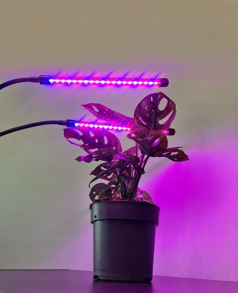 2 x Lampa do Wzrostu Roślin Uprawy 40 LED Panel Timer + Pilot zdjęcie 11